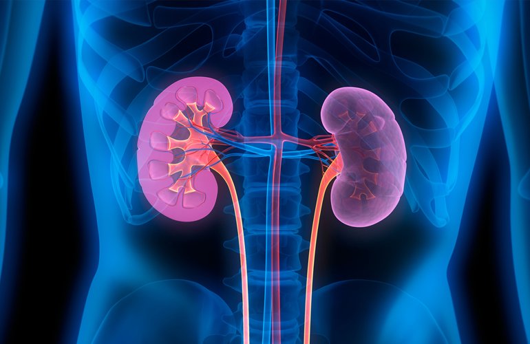 Nephrology Department